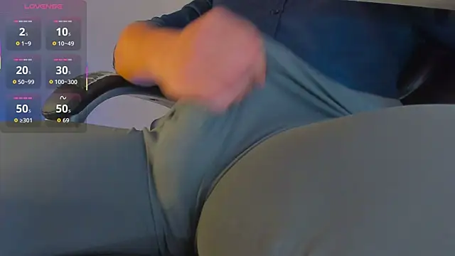 BulgeArt Show Webcam