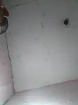 Živý XXX chat cobrosdepagos