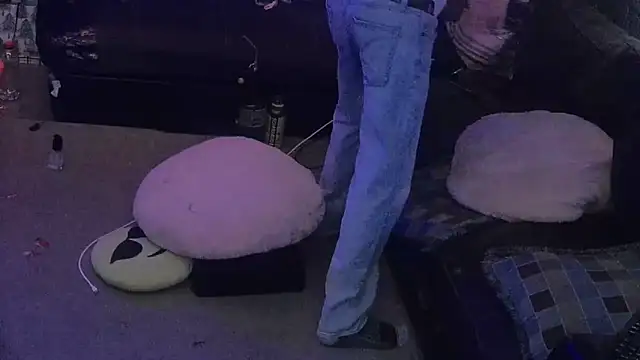 Show webcam de botTomOh