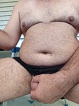 Show webcam de vik7419