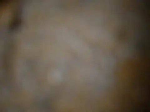 amoralall – webcam-show