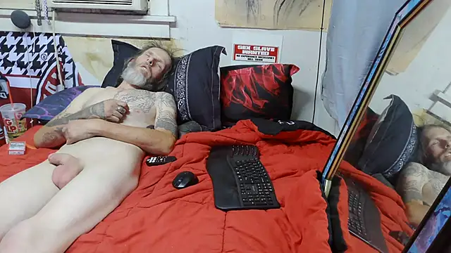 Spotless_Load Webcam-Show