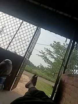 Bengali_BULL1: вебкам-шоу