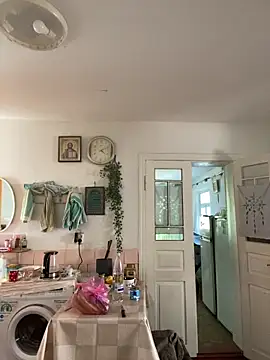 Frosl's Webcam Show
