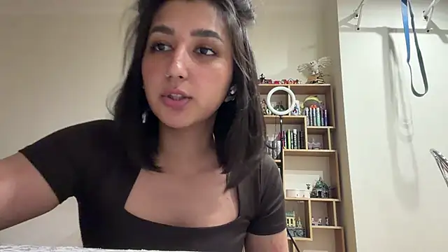 Show de PaintedDisplay na webcam