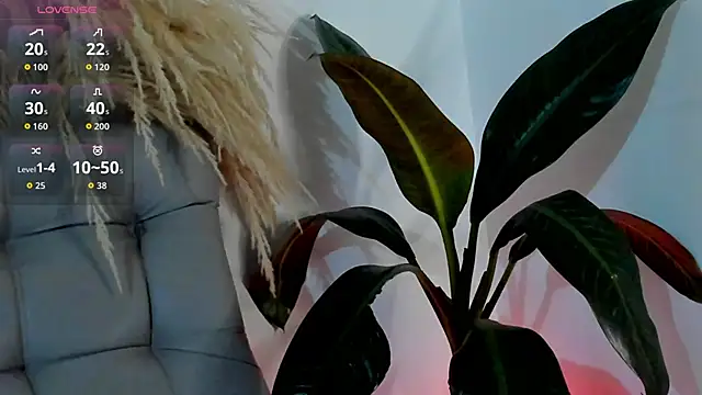 DakotaStills_ élő XXX-chatje