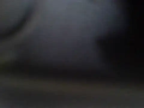 Bad_bunniey 라이브 XXX 채팅