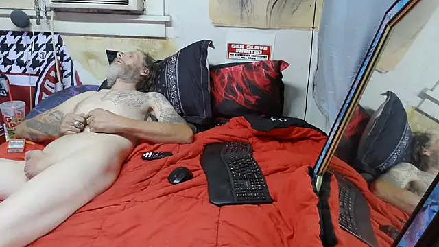 Show Webcam de Spotless_Load