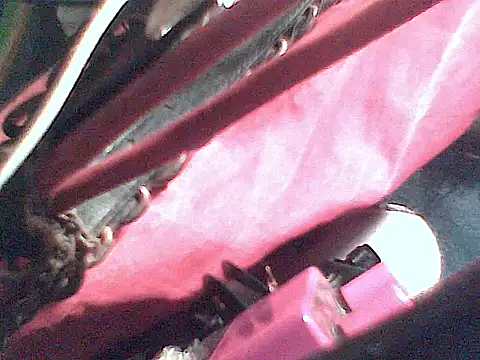 JJBATS Show Webcam