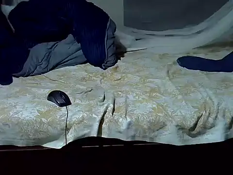 Leebwoy20 Webcam-Show