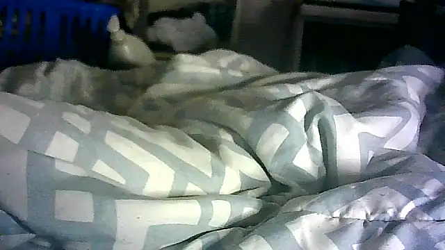 Show de _P3RKY_IMMORTAL3_FIR3_ na webcam