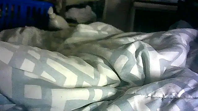 Živý XXX chat _P3RKY_IMMORTAL3_FIR3_