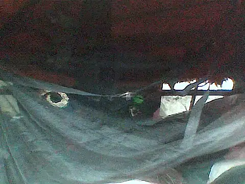 دردشة JJBATS الجنسية المباشرة
