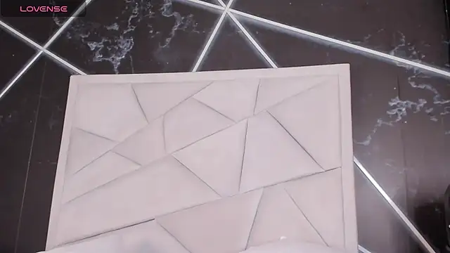 عرض كام AerumChae