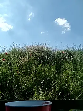 Онлайн чат XXX Milfa_nimfomana