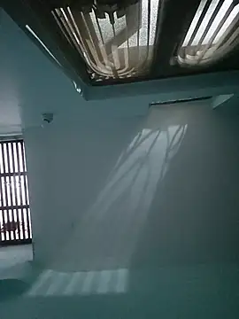 allumatar Show Webcam