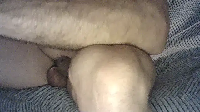 pedro_power 网络视讯表演