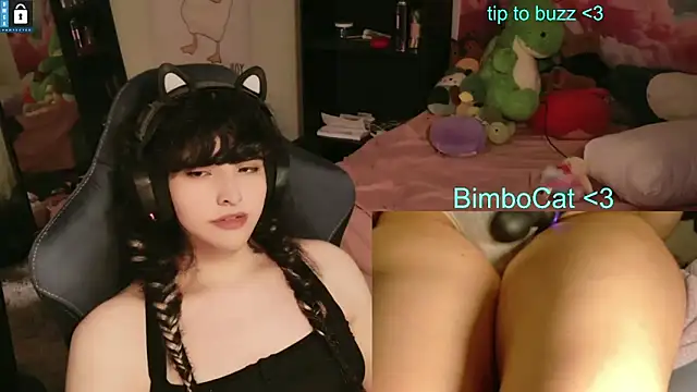 BimboCat Webcamshow