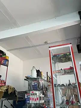 Paul22cm- ওয়েবক্যাম শো