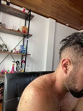 ADONIS_ART01n Webbikameraesitys