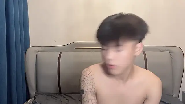 LY-0101 网络视讯表演