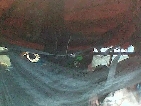 JJBATS – Live XXX-chat