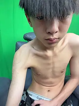 DD-101 网络视讯表演