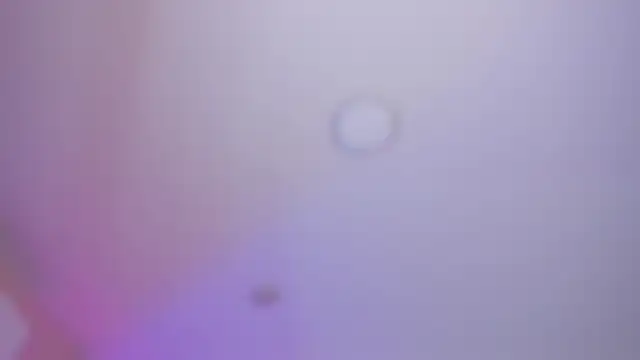 YariRose Chat XXX live