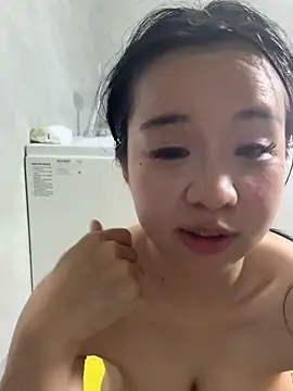 NiNa5203n Webbikameraesitys