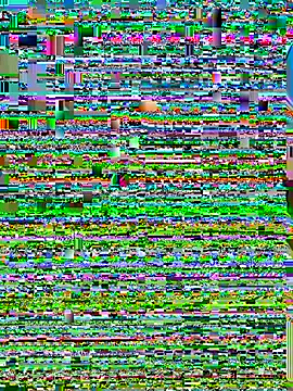 Chatroom XXX en direct de EllyNora