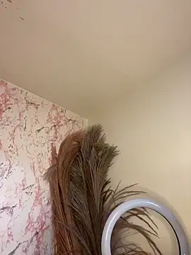 CelesteJones1 现场XXX聊天
