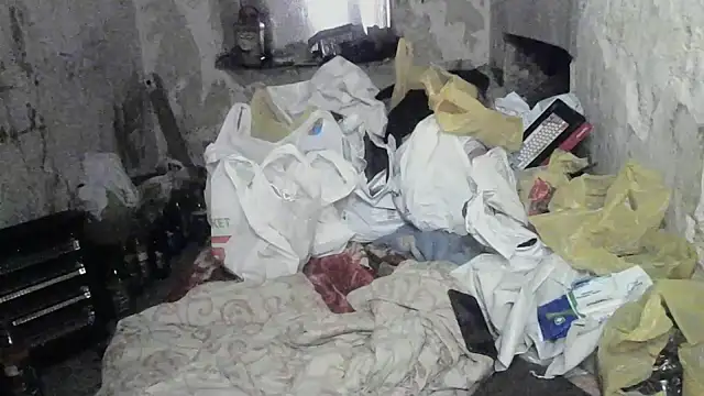 Show Webcam de makarov1993