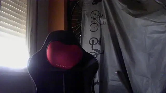 Show Webcam de porkorossy