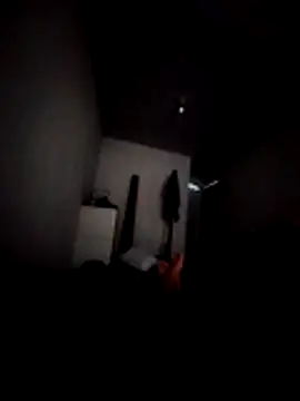 Thiagolab's Webcam Show