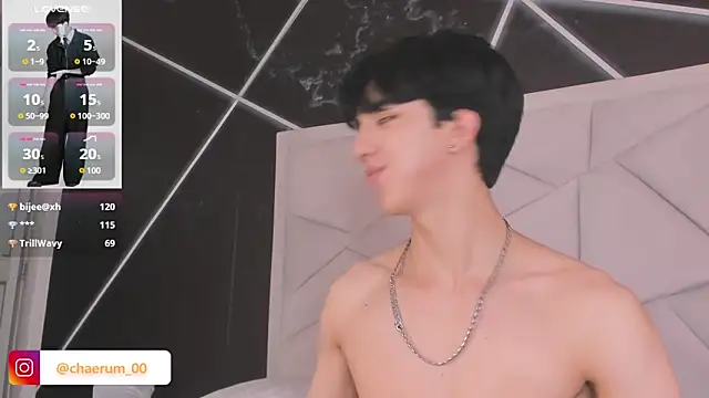 Show webcam de AerumChae