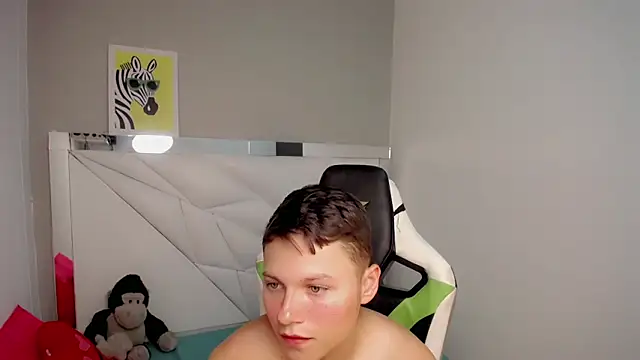 NYC_Bbyn Webbikameraesitys