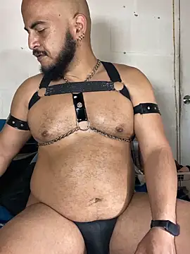 the_master_foal_ 网络视讯表演