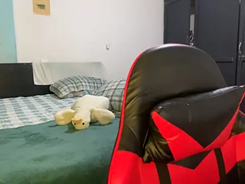 Im_Camii 网络视讯表演