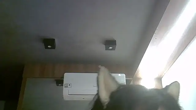 SkinnyKitten live XXX chat