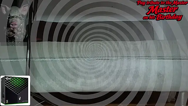Alphacashmaster777 Live Chatraum