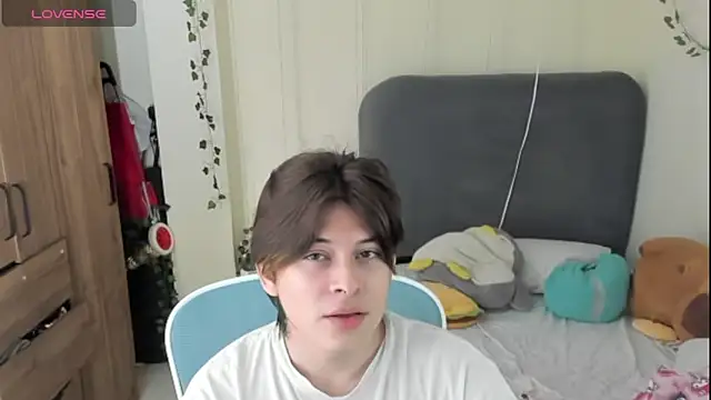 Felixzynn Webbikameraesitys