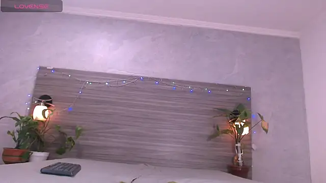 Dilan_Halln Webbikameraesitys