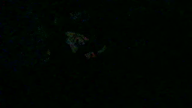 Czat XXX na żywo – _P3RKY_IMMORTAL3_FIR3_