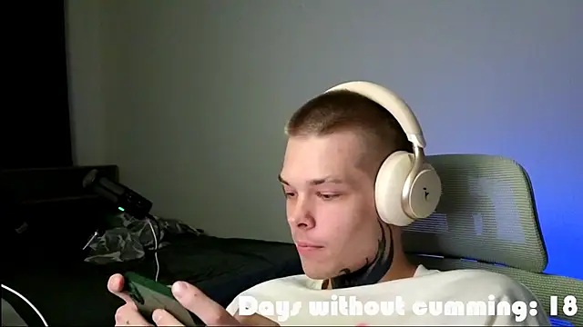 DENIS_HERE's Webcam Show