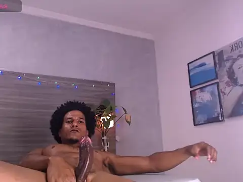 Dilan_Halln Webbikameraesitys