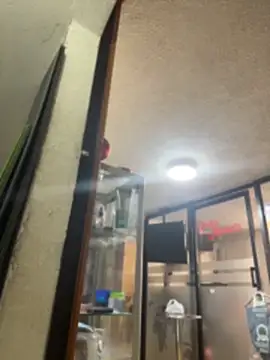 SALOME_KORLAND Live XXX Chat