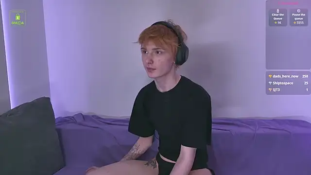 Your_avatar Show Webcam