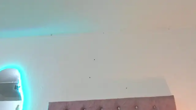 laurenlaine Live XXX-Chat