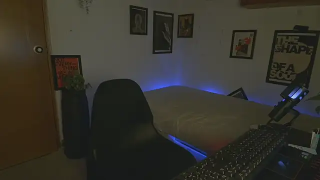 Show Webcam de ArchiGoldd
