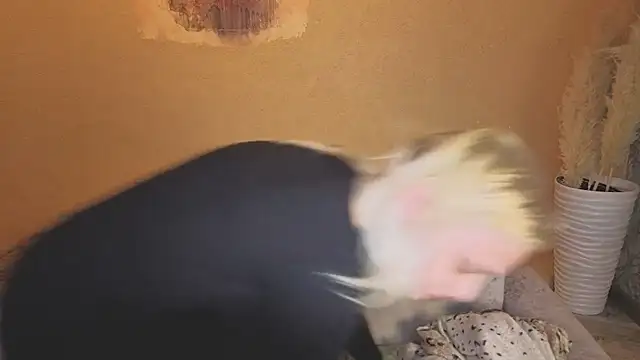 KaraLiin Live XXX-chat